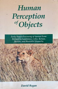 Human perception of objects
