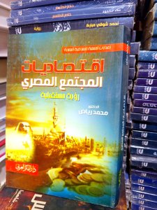 اقتصاديات المجتمع المصري